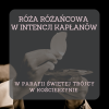 Róża za kapłanów